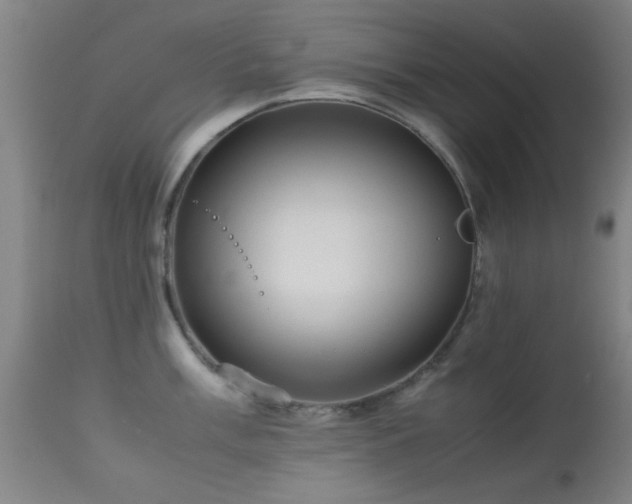 X0000113241003200909171558