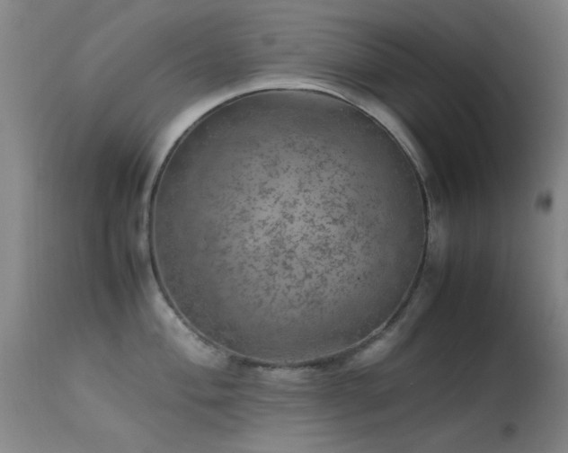 X0000113241004200909171558