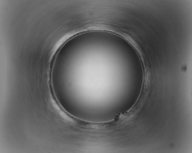 X0000113241005200909171558