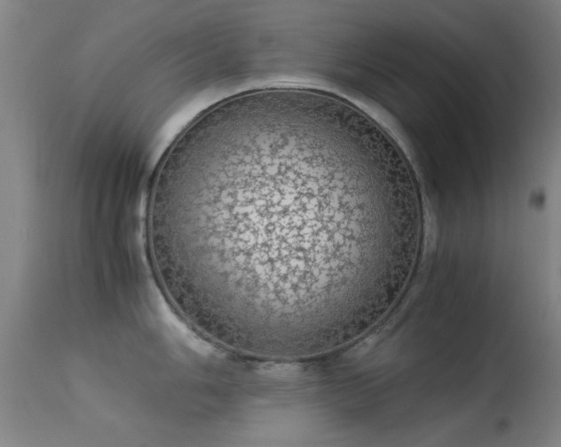 X0000113241006200909171558