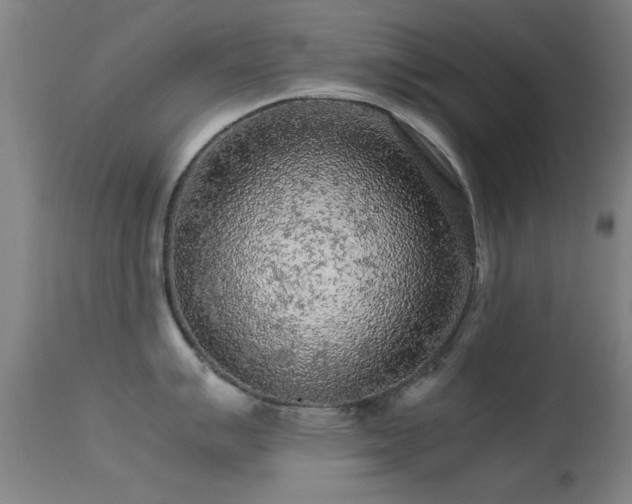 X0000113241007200909171558