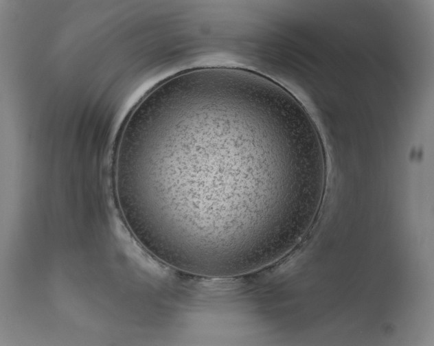 X0000113241008200909171558