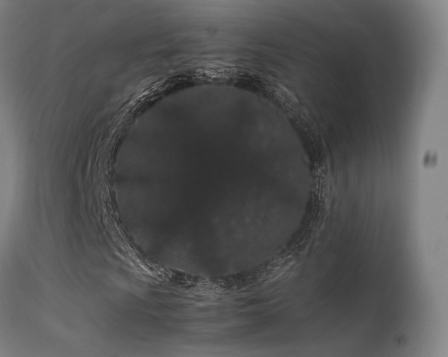 X0000113241009200909171557