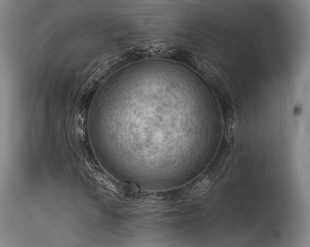 X0000113241010200909171557