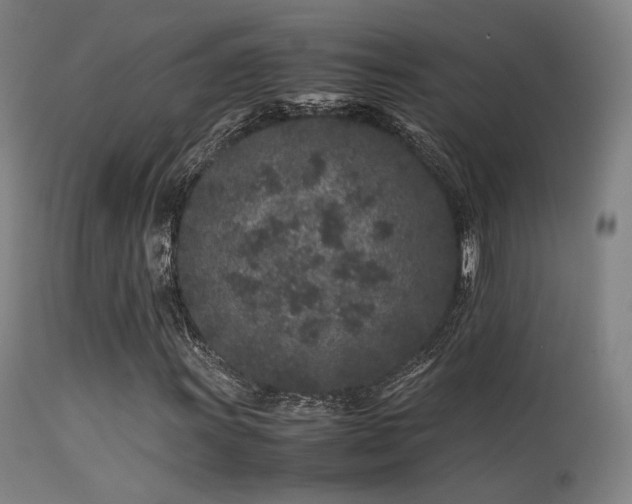 X0000113241011200909171557