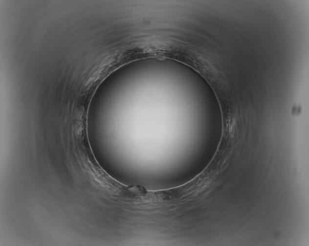 X0000113241012200909171557