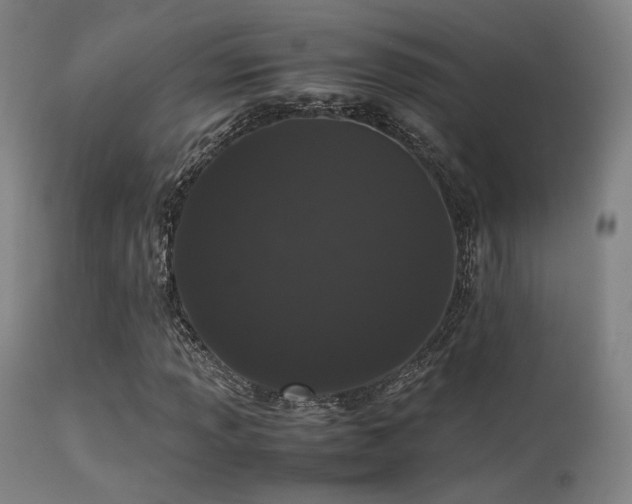 X0000113241013200909171557