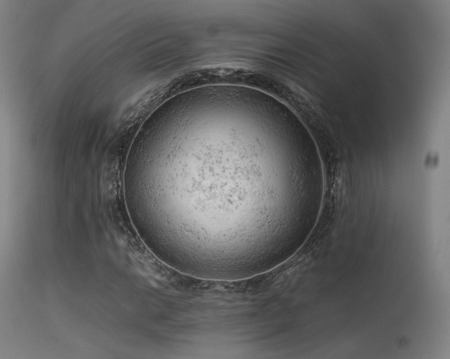 X0000113241014200909171557