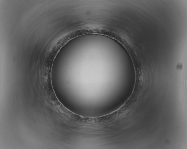 X0000113241016200909171557