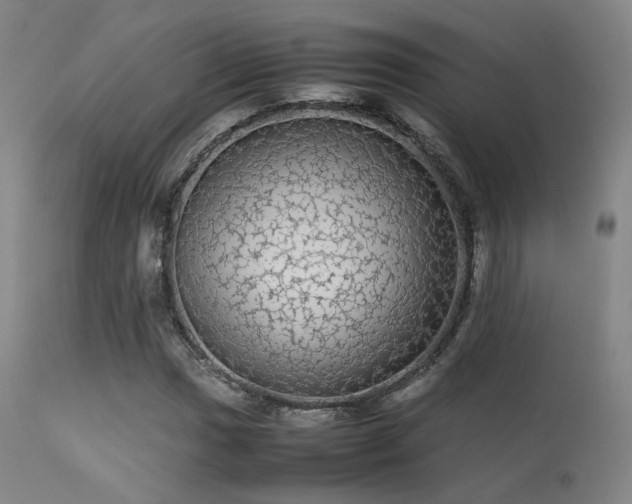 X0000113241017200909171557