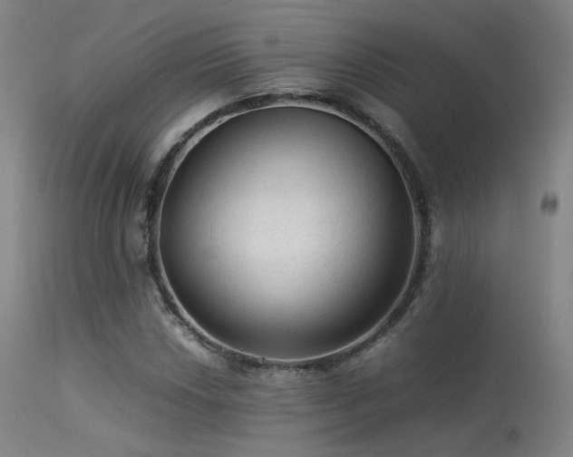 X0000113241018200909171557