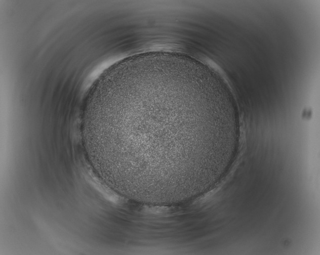 X0000113241019200909171557