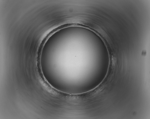 X0000113241020200909171557