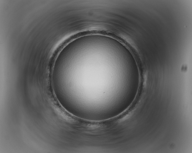 X0000113241021200909171557