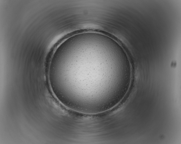 X0000113241022200909171557