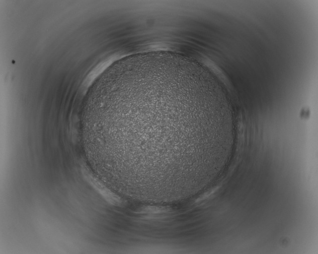 X0000113241023200909171557