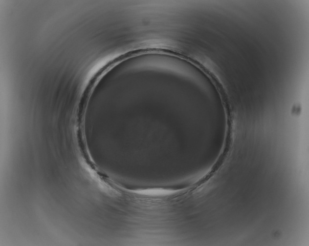 X0000113241024200909171557