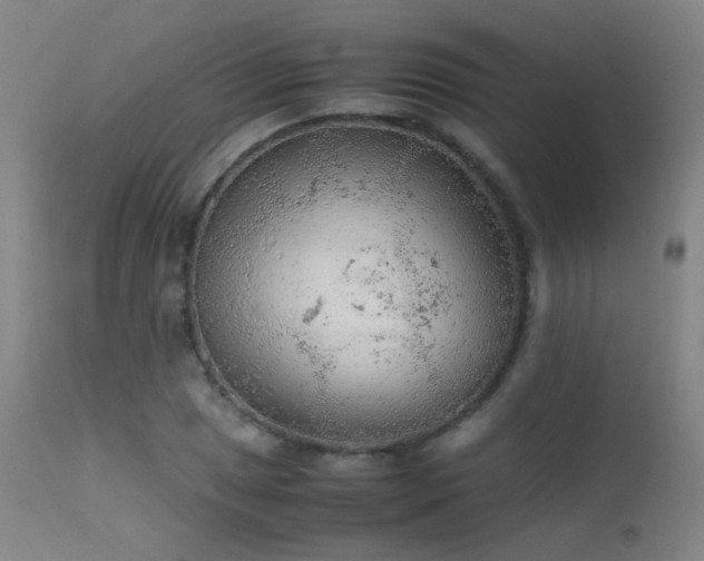 X0000113241025200909171557