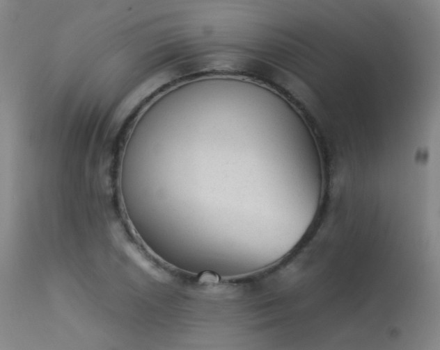 X0000113241026200909171557