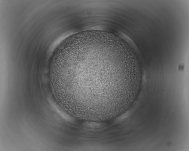 X0000113241027200909171557