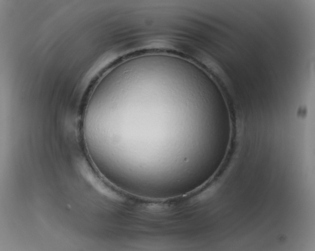 X0000113241029200909171557