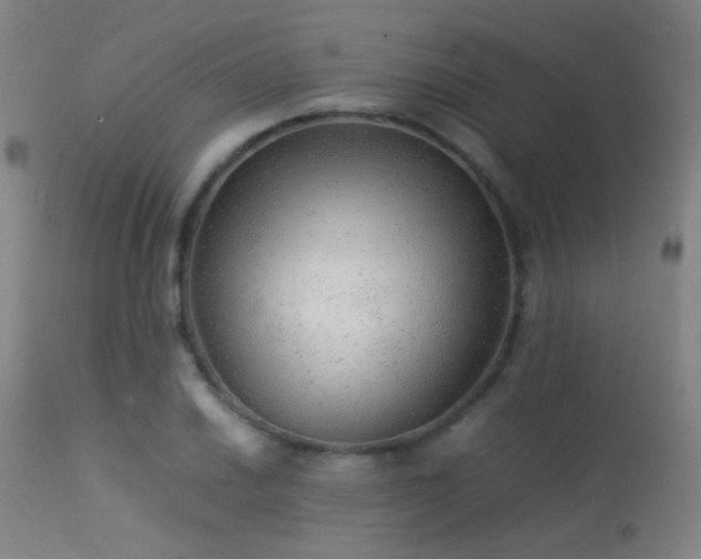 X0000113241030200909171557