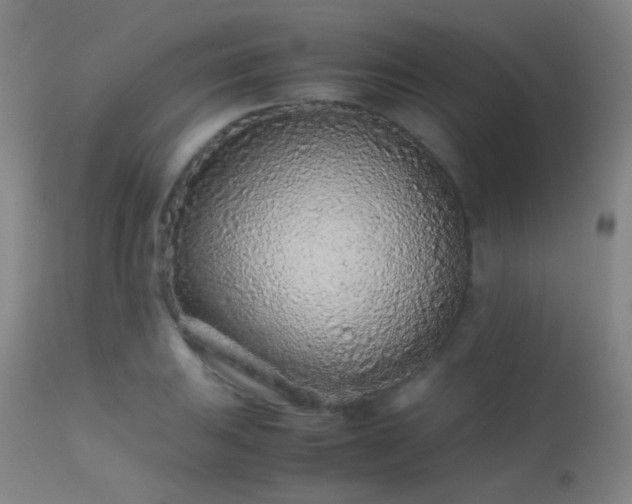 X0000113241031200909171557