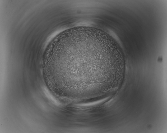 X0000113241035200909171558