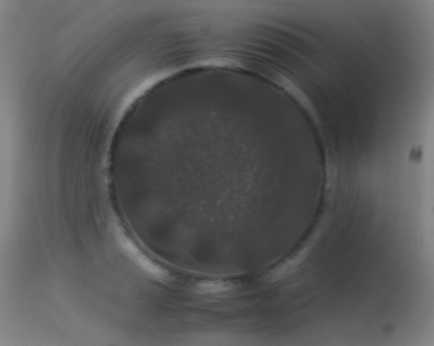 X0000113241037200909171558