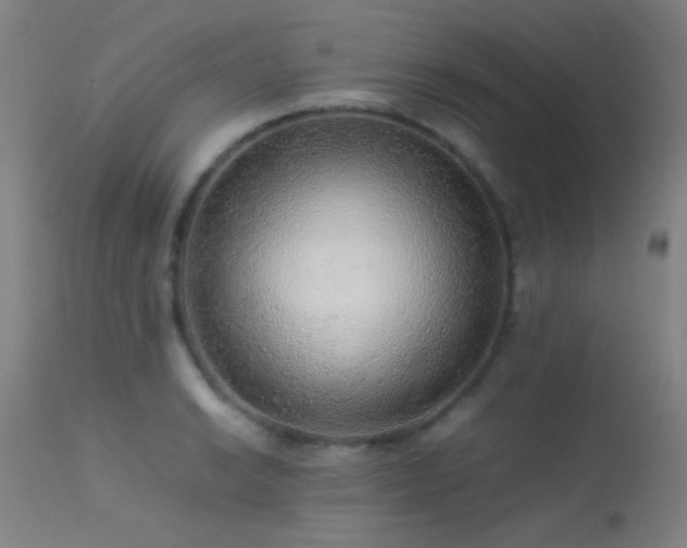 X0000113241038200909171558