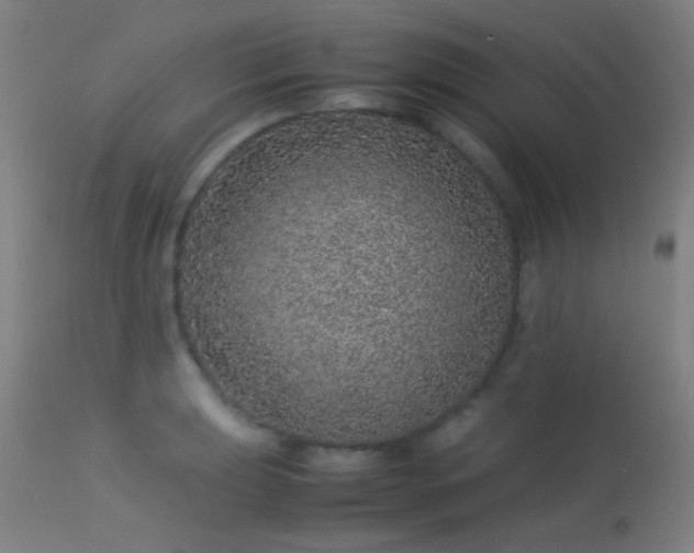 X0000113241039200909171558