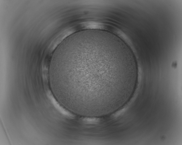 X0000113241041200909171558