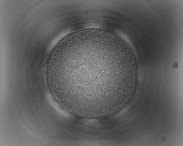 X0000113241043200909171558