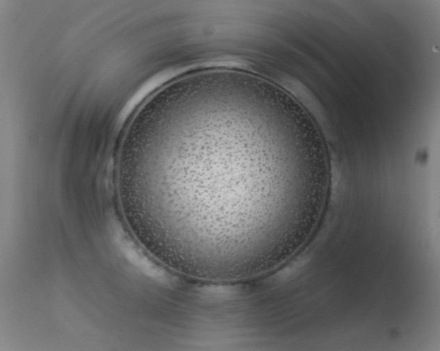 X0000113241044200909171558