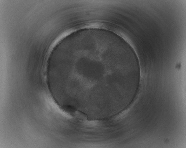 X0000113241045200909171558