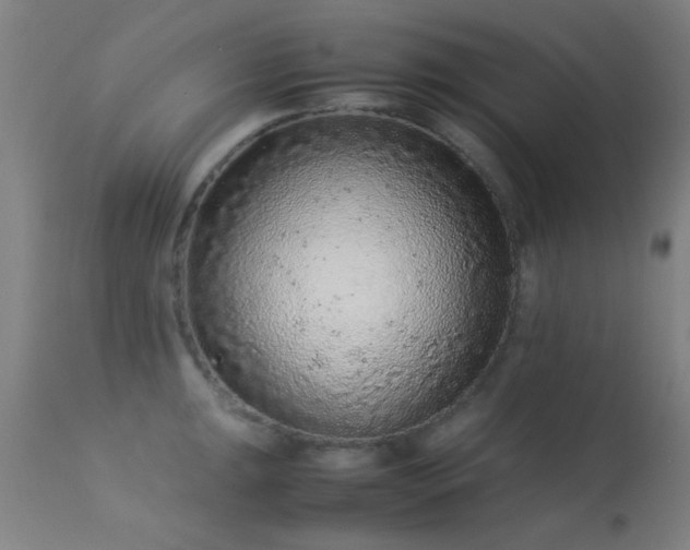 X0000113241047200909171558