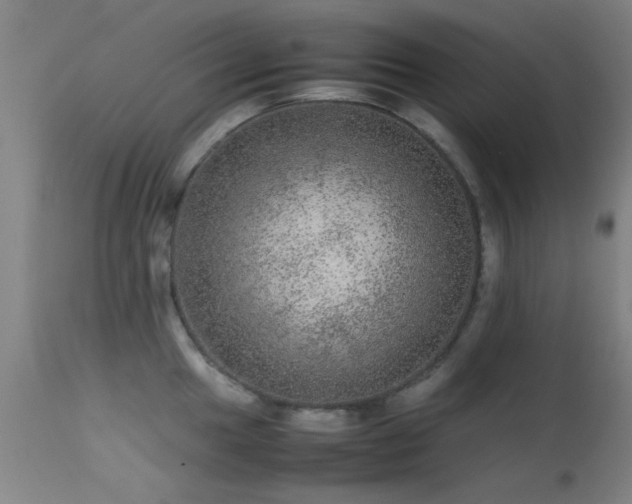 X0000113241049200909171558