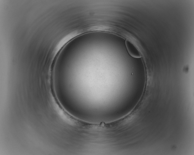 X0000113241050200909171558