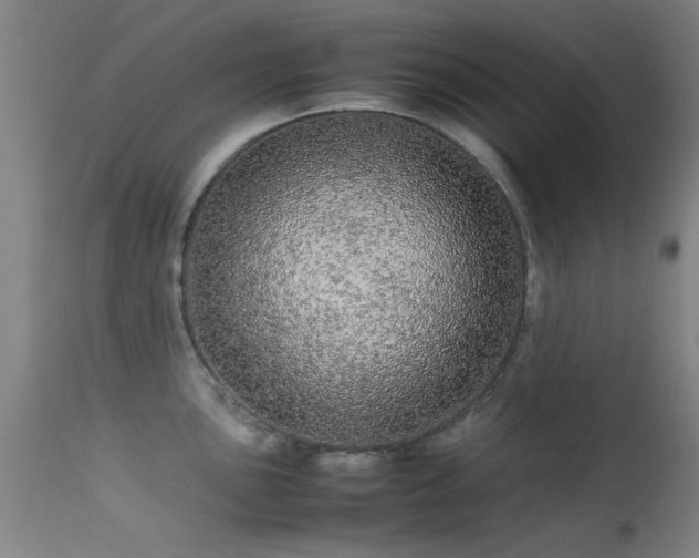 X0000113241051200909171558