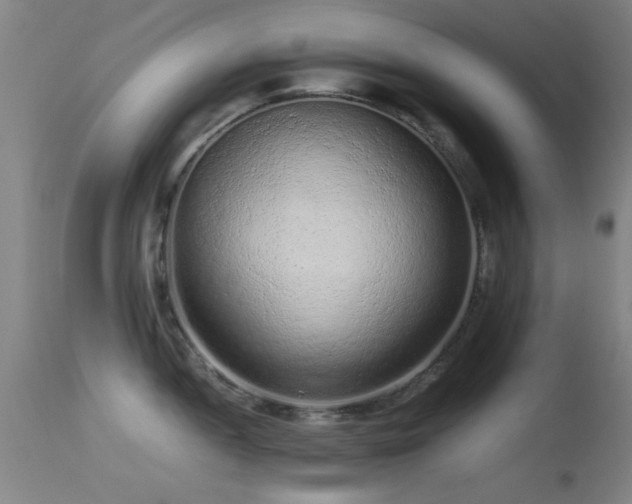 X0000113241052200909171558