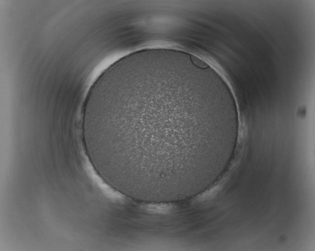 X0000113241053200909171558