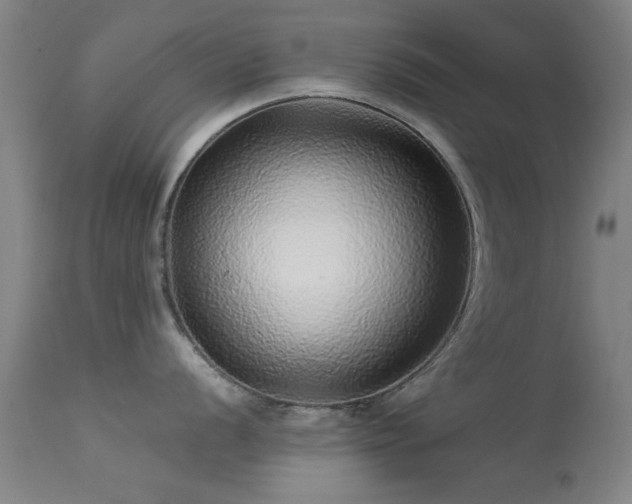 X0000113241056200909171558