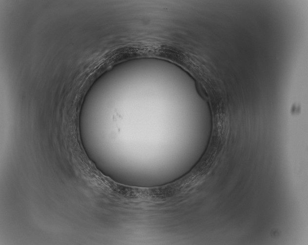 X0000113241057200909171557