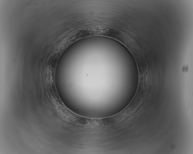 X0000113241058200909171557