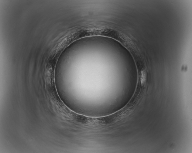 X0000113241059200909171557