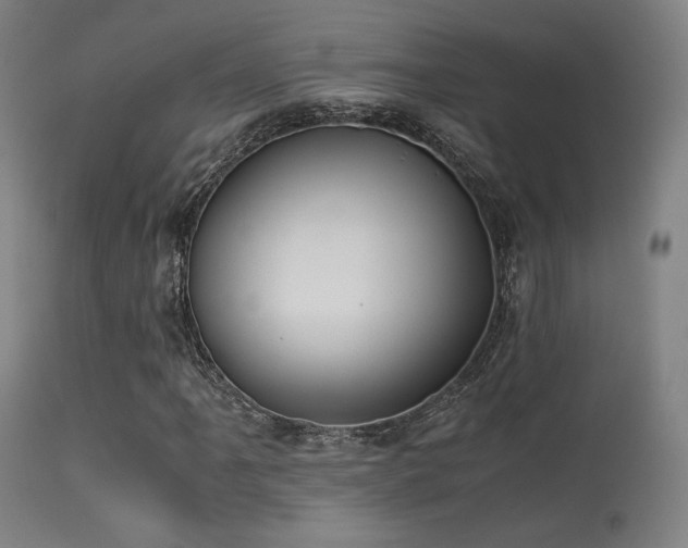 X0000113241061200909171557