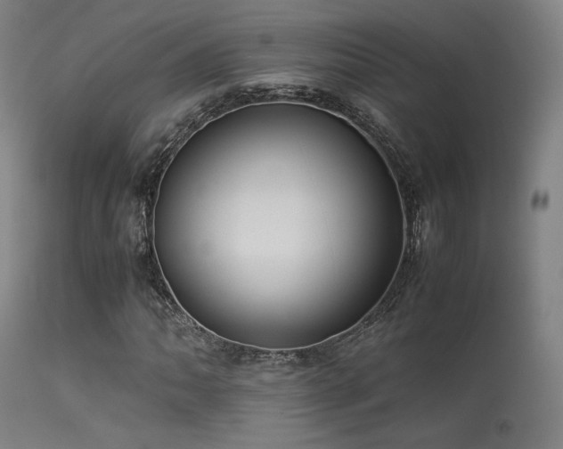 X0000113241062200909171557