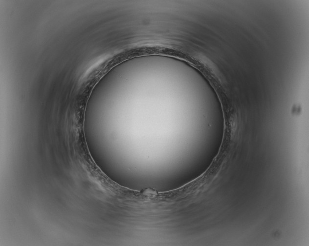 X0000113241064200909171557