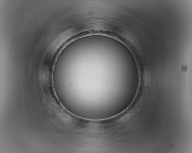 X0000113241065200909171557