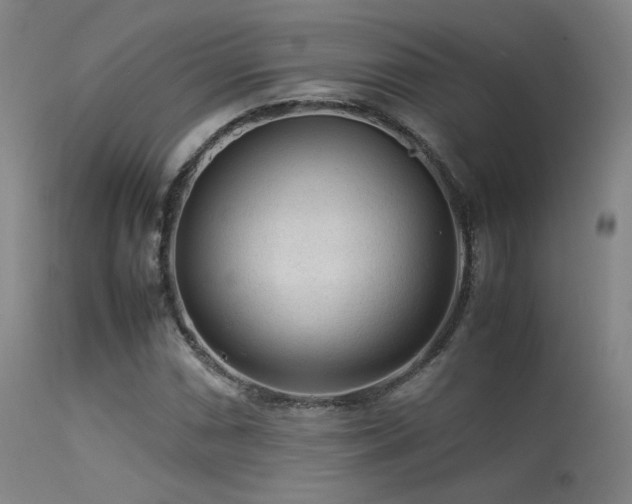 X0000113241066200909171557